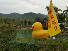 -汕头莲花山度假村温泉