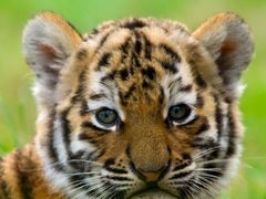 -广记海鲜(杨汊湖一店)