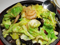 虾仁炒卷心菜-开海·红岛海鲜虾水饺(石老人店)