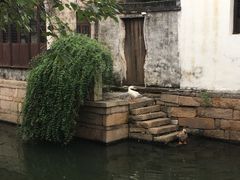 -周庄古镇景区-双桥