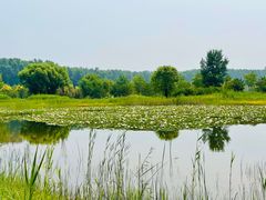-野鸭湖国家湿地公园