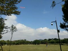 放飞坪-大沙河公园