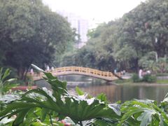 -晓港公园