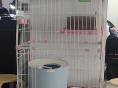-小树照相馆·证件照(打浦桥店)