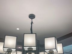 -野妹火锅(龙岗店)
