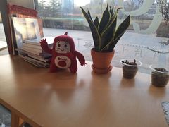 -Dinoo 片场咖啡(酒仙桥店)