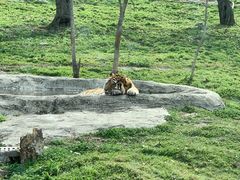 -西安秦岭野生动物园