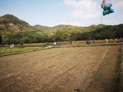 -八卦田遗址公园
