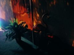 -The Tiki Bungalow提基小木屋酒吧