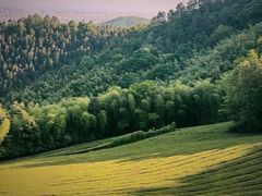 -敬亭山风景名胜区