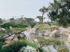 -罗红摄影艺术馆