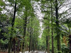 -金牛山大酒店(南北湖风景区店)