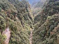 -中国大熊猫保护研究中心雅安碧峰峡基地