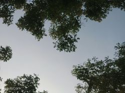 -上海市长宁区妇幼保健院