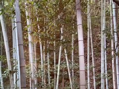 -故乡缘·香格里拉山庄(冷竹路店)
