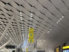 -郑州新郑国际机场-T2航站楼