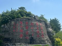 -王莽岭风景区