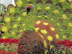 -白石桥南(地铁站)