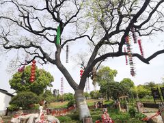 -嬉乐湾休闲旅游区