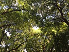 -共青国家森林公园-售票处