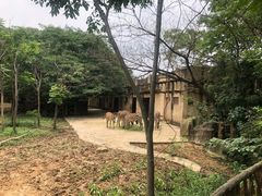 -南昌动物园