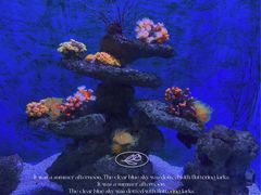 -大连老虎滩海洋公园