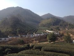 大茶山-余姚阳明温泉山庄