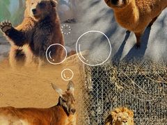 -济南野生动物世界