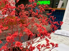 -和平行旅·全女旅宿(永庆坊店)