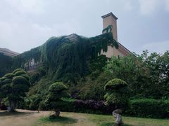 -府河摄影公园