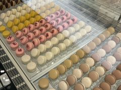 -黑天鹅蛋糕店(青年大街店)