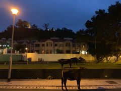 -香港银矿湾渡假酒店
