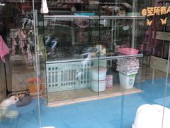 -狗不理喵子(百富路店)