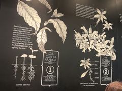 -星巴克(日月光店)