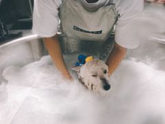 -Oh My Dog宠物沙龙(伊珊娜皮毛护理店)