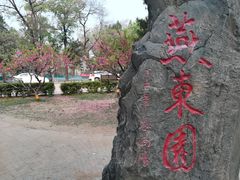 -北京大学燕东园