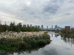 -三垟湿地