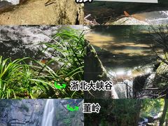 -浙北大峡谷