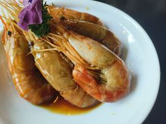-三酉星·枫·山風与野菜(上海总店)