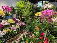 -青石桥花鸟鱼虫市场(叠翠城店)