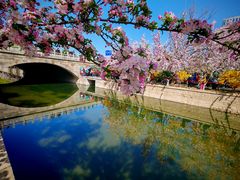 -元大都城垣遗址公园