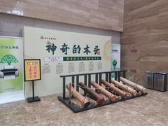 -烟台市博物馆