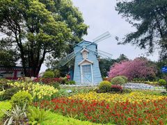 -铁山坪森林公园