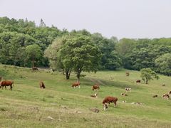 -帽儿山风景区
