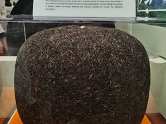 -中国茶叶博物馆(双峰馆区)