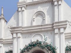 -杭州湾海上花田景区