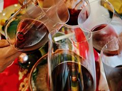 -松赞拉萨林卡酒店