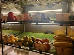 -上海和平饭店茉·莉酒廊 Jasmine Lounge