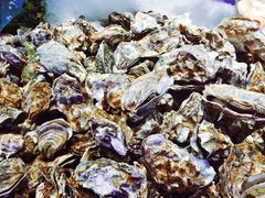 -北京汉斯特自助烤肉(临朐店)