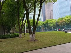 -重庆市江北嘴中央商务区中央公园